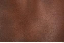 Photo Textures of Human Skin